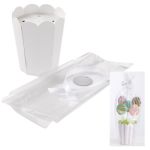 Pops Flower Pot Kit